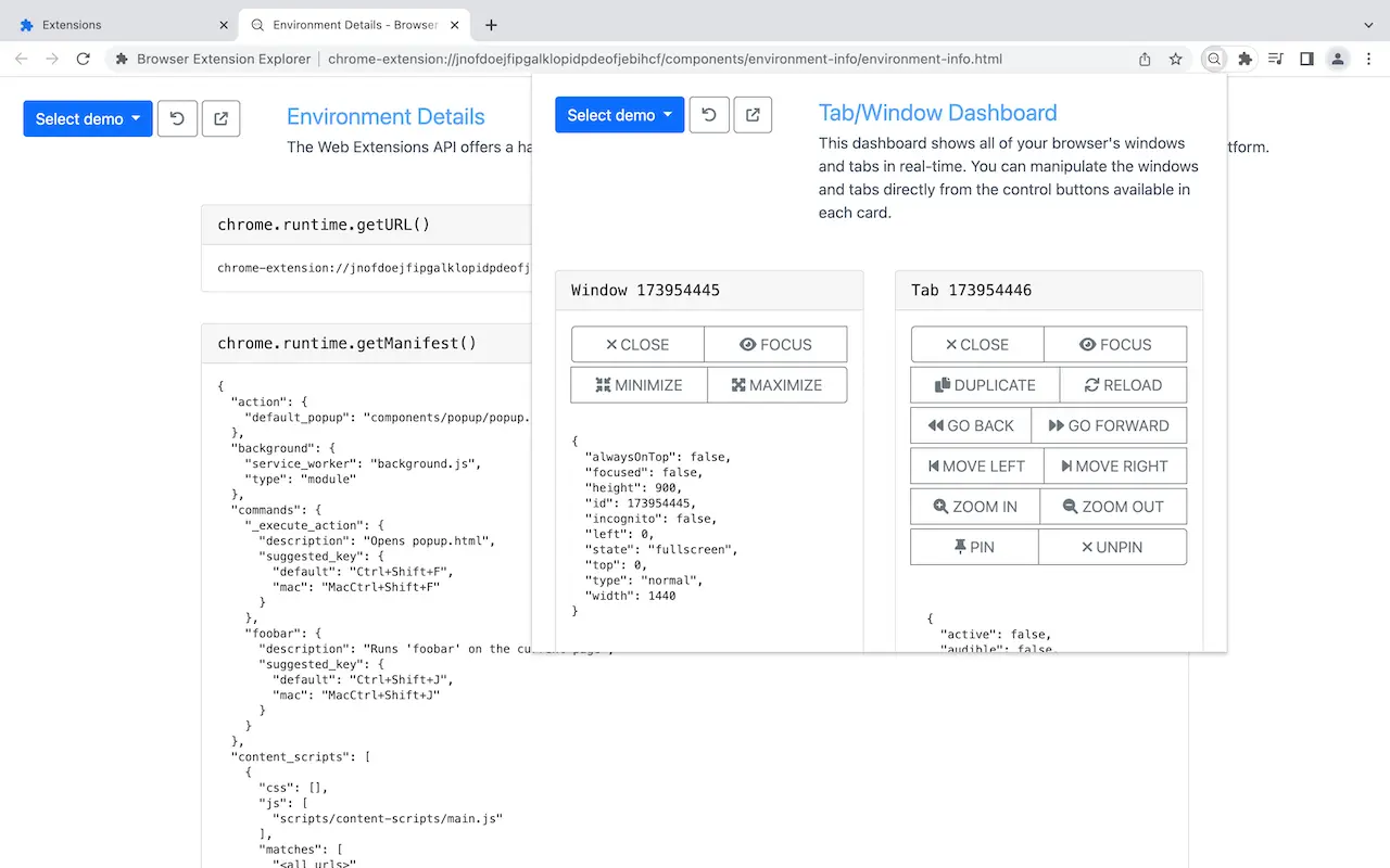 Example Chrome Extension - Extension environment details, tab and window dashboard